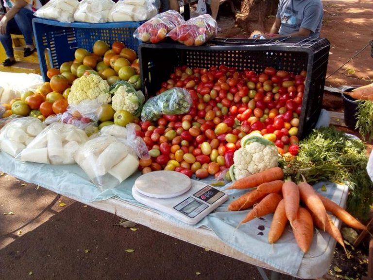 projeto agro familia 1 papo reto 3 768x576