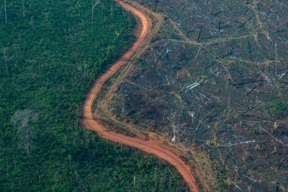 Amazônia: desmatamento avança em áreas protegidas