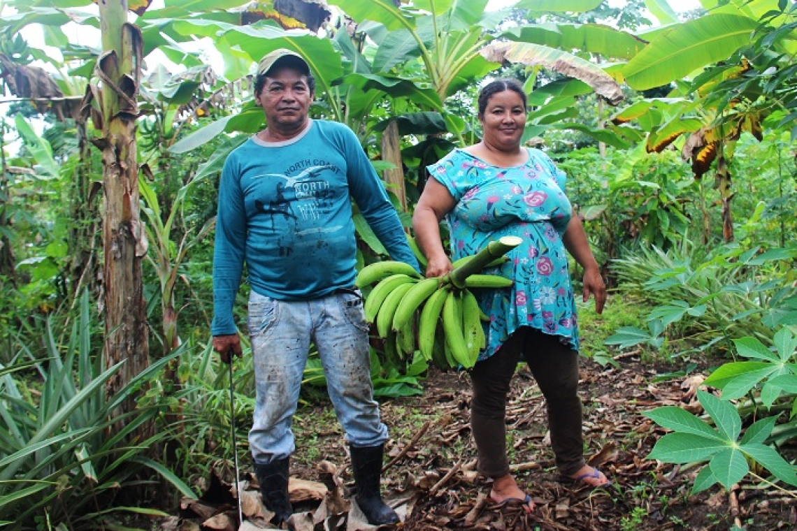 SAF incentiva agricultores e ribeirinhos do Pará a conservar a Amazônia