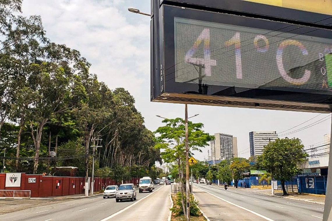 IBGE vai mapear áreas verdes nas cidades brasileiras
