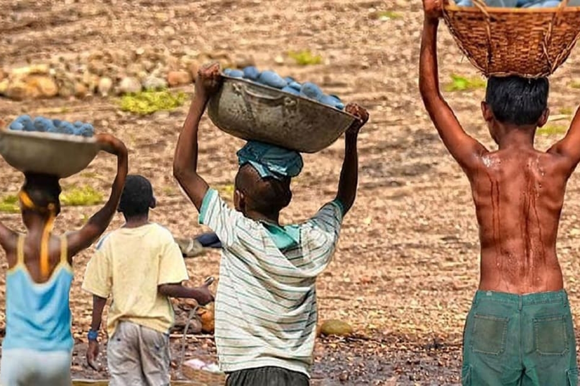 Desigualdade social aumenta casos de trabalho infantil
