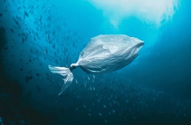 pare o tsunami de plastico 1 papo reto 1